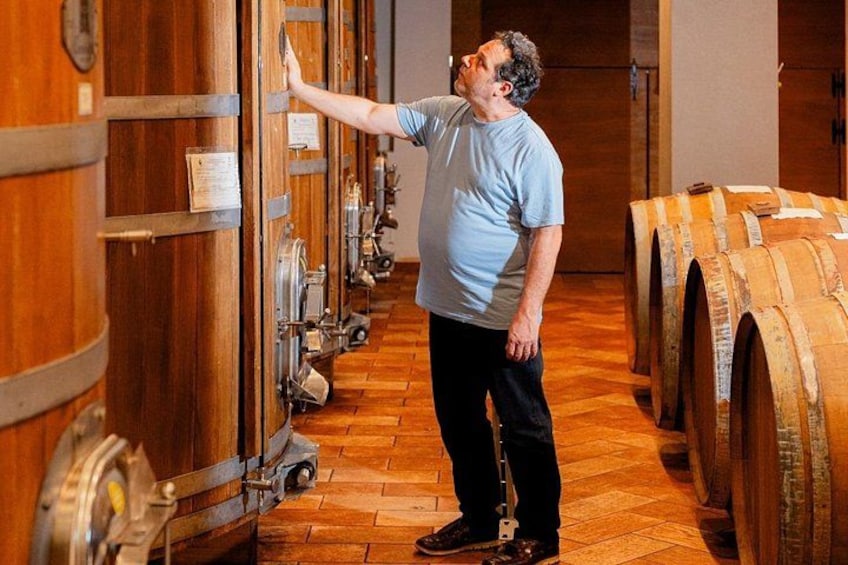 A person inspecting wine barrels in a cellar. 4