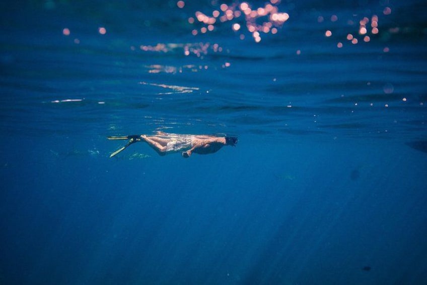 Half Day Eco Snorkeling Small Group Tour in Bora Bora 2