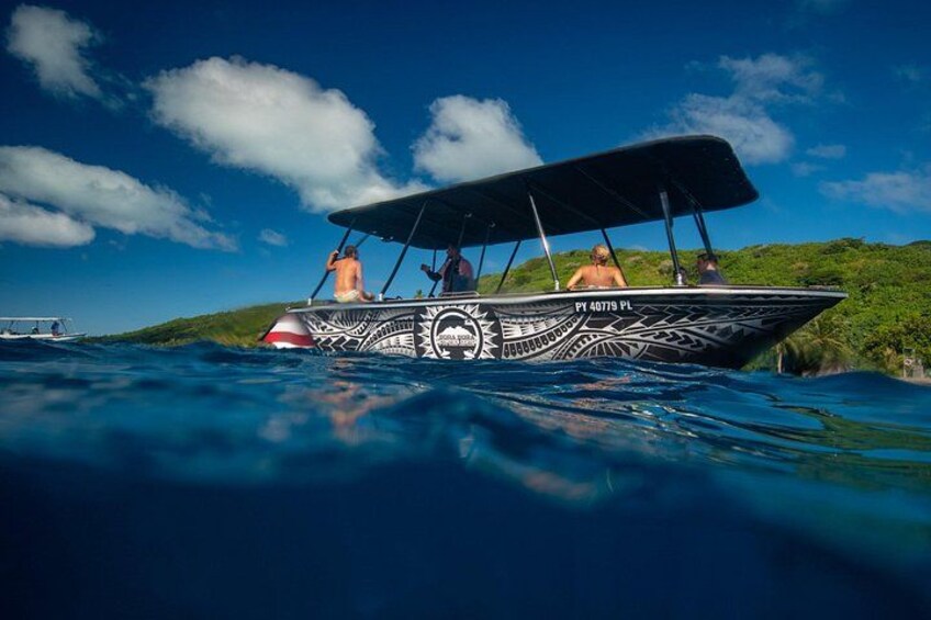 Half Day Eco Snorkeling Small Group Tour in Bora Bora 4