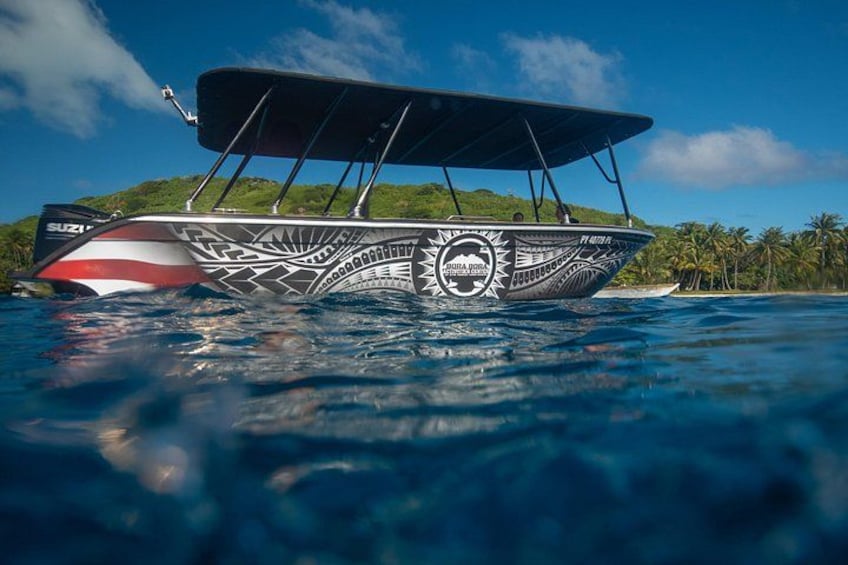 Half Day Eco Snorkeling Small Group Tour in Bora Bora 3
