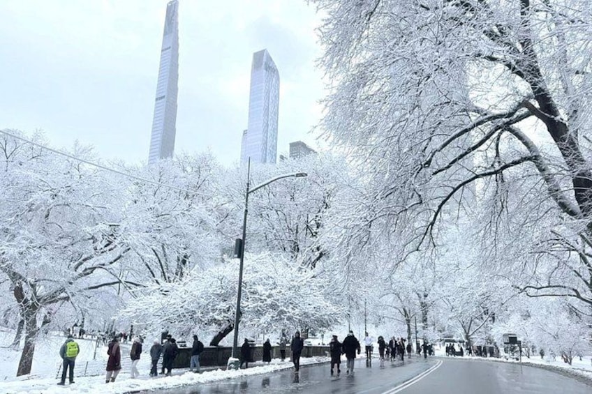 First Class Central Park Tour – Iconic Views & VIP Photo Moments 2
