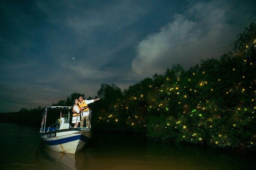 Fireflies and Bioluminescent Night Tour with Seafood Delight 1