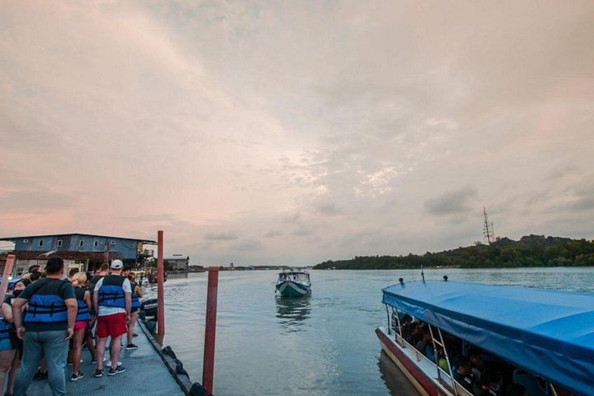Fireflies and Bioluminescent Night Tour with Seafood Delight 3