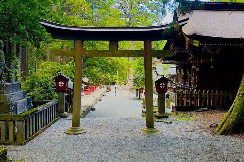 VIP Mt. Fuji and Hakone World Heritage Customized One Day Tour. 5