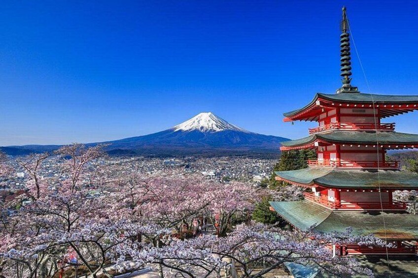 VIP Mt. Fuji and Hakone World Heritage Customized One Day Tour. 3