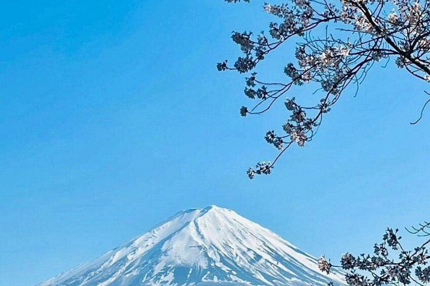 A snow-covered mountain under a clear blue sky. 5