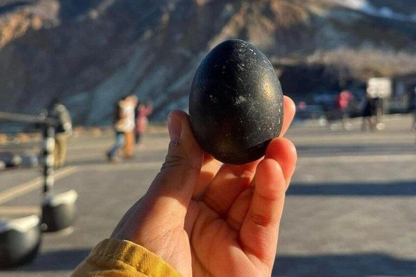 A hand holding a black spherical object. 2