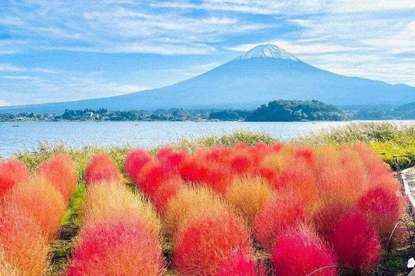 VIP Mt. Fuji and Hakone World Heritage Customized One Day Tour. 4