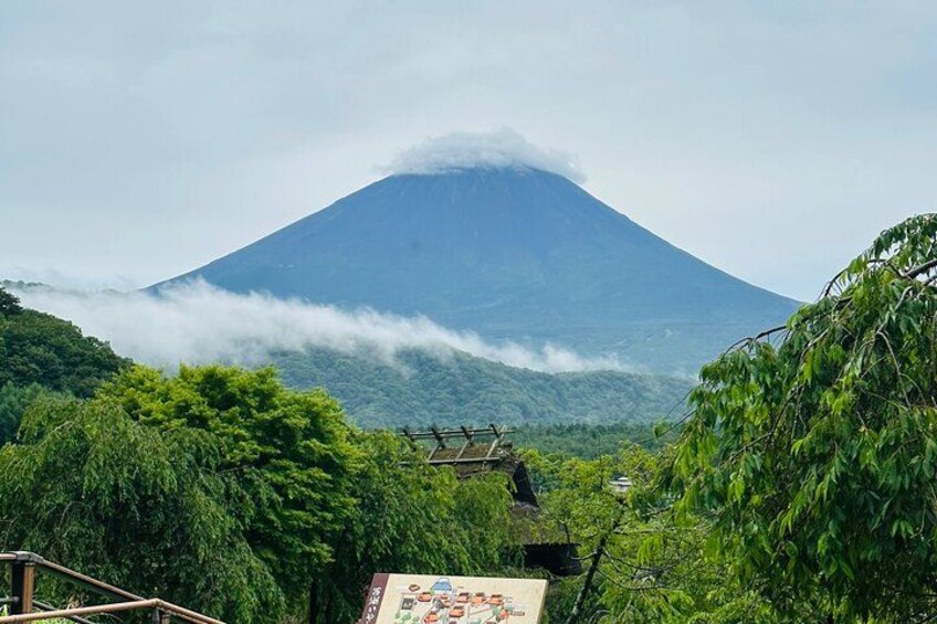 A mountain with a forested foreground and a house in the foreground. 4