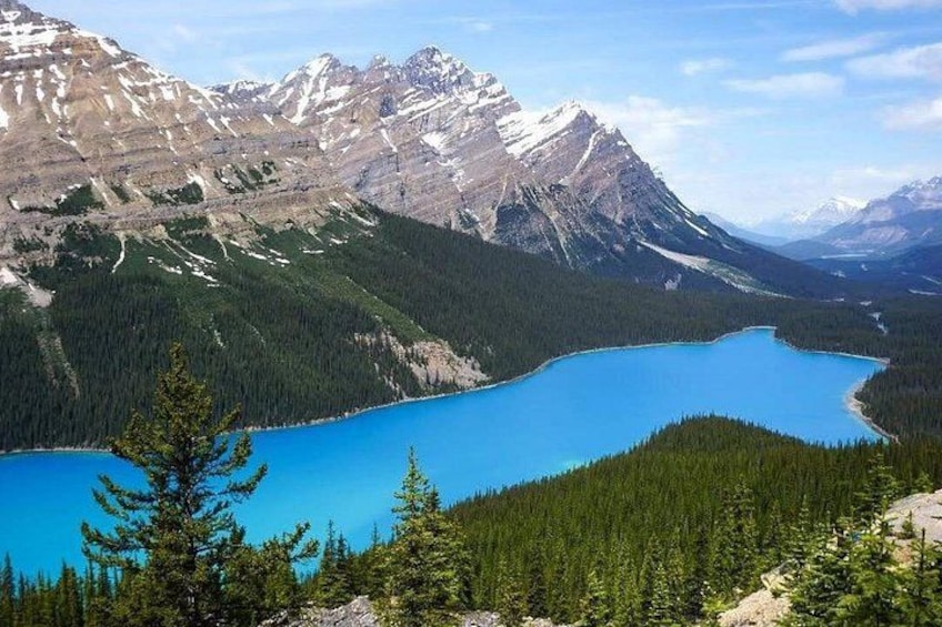 Un lago de montaña rodeado de bosque y picos nevados. 5