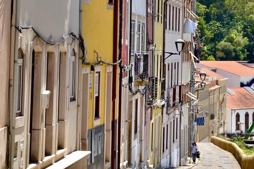 Coimbra: Cathedrals, Kings, and Calla Lilies 5