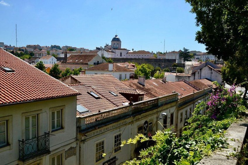 Coimbra: Cathedrals, Kings, and Calla Lilies 1