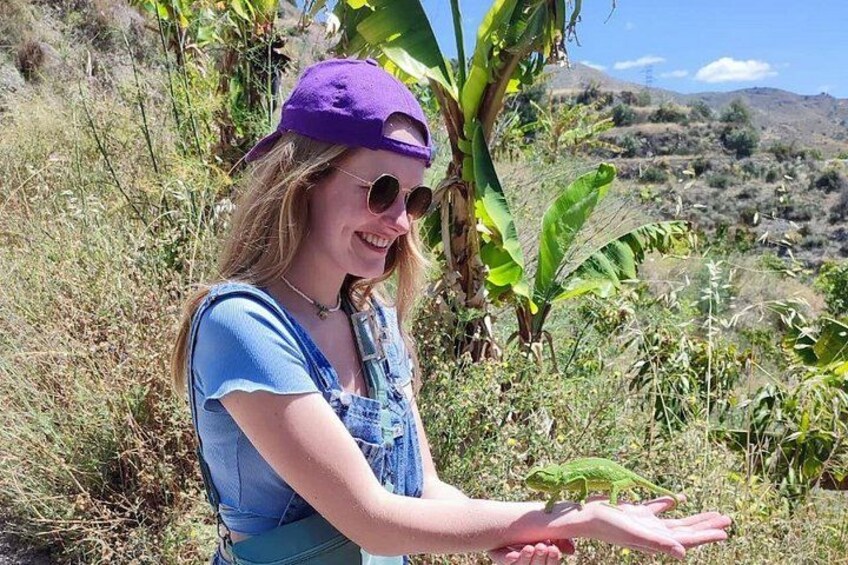 A person in a blue shirt and purple cap holding out their hand, with a green lizard on their palm, surrounded by greenery and hills in the background. 3