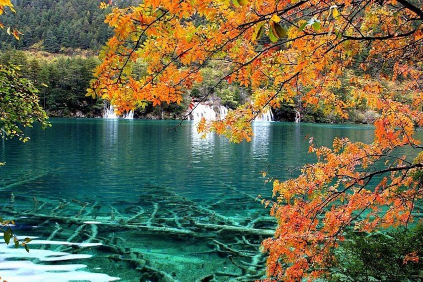 A clear lake with autumn foliage, a waterfall, and rocky underwater terrain. 3