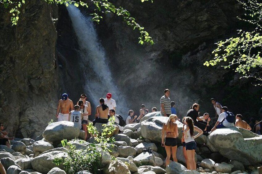 Natural Swimming Pools 2