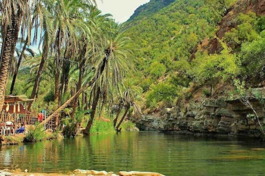 Best Taghazout Paradise Valley Tour with Breakfast & Local Guide 3