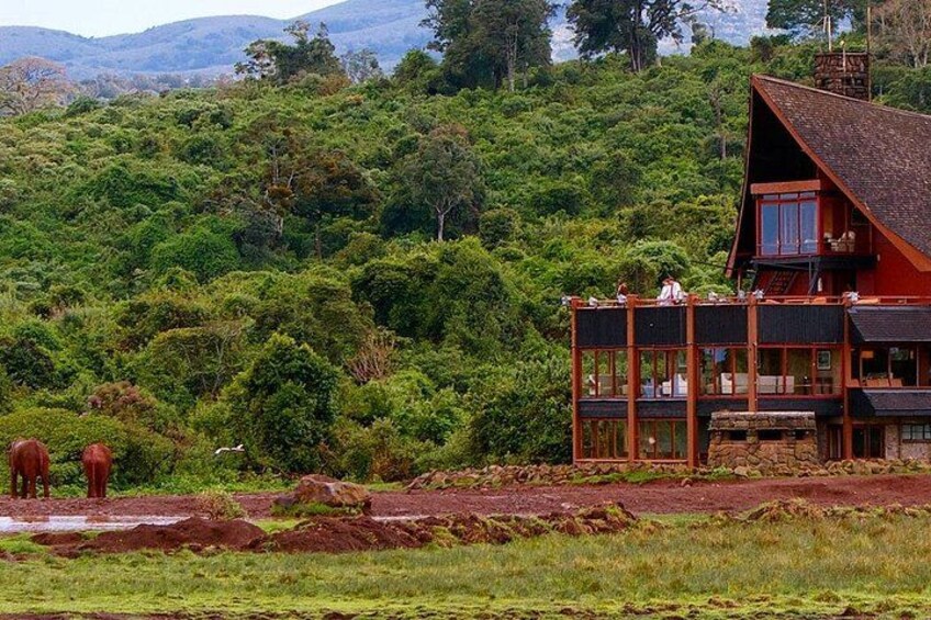 A red wooden house with a balcony overlooking a lush green forest. 1