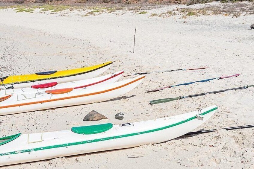Several kayaks and fishing rods on a sandy beach. 3