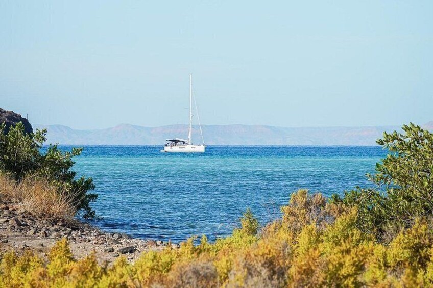 A sailboat on calm blue waters with rocky coastline and sparse vegetation. 5