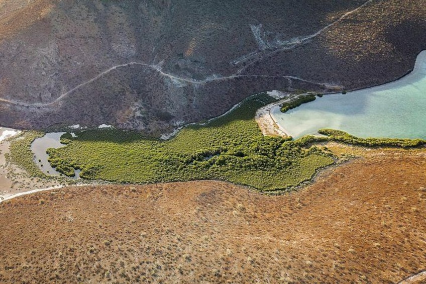 Vue aérienne d’une zone côtière avec une rivière, une végétation luxuriante et une petite plage. 3