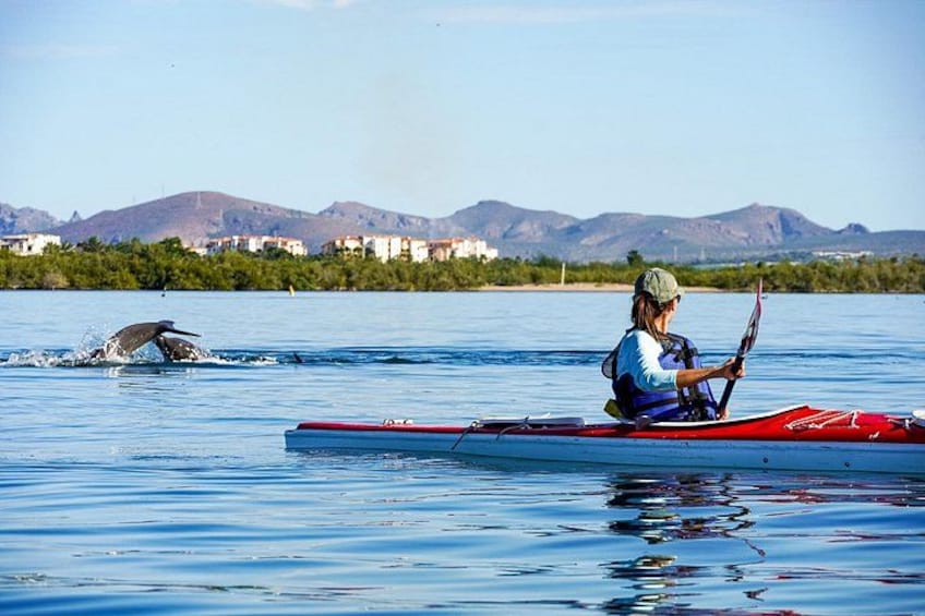 A person in a red kayak on calm water with mountains in the background. 4