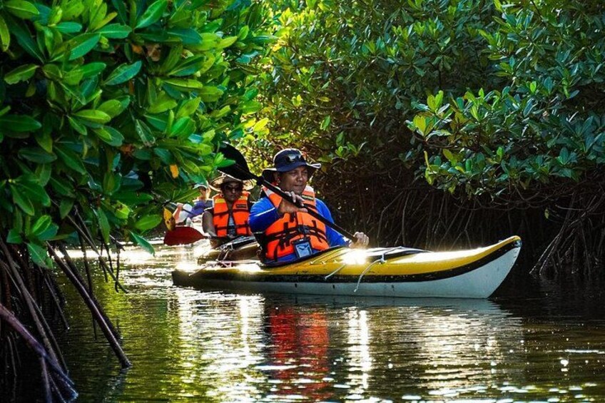 Due persone che fanno kayak in un fiume circondato da fitta vegetazione verde. 2