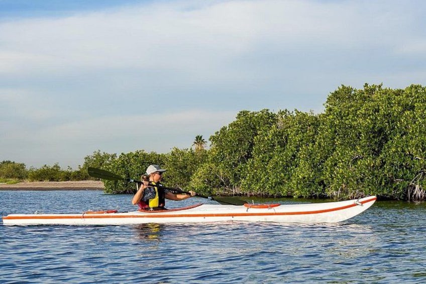 Sea Kayak Tour Mangrove Safari 2