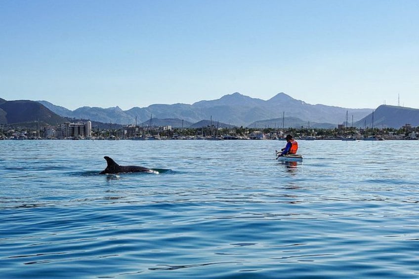 A person in a kayak on a calm body of water with mountains in the background. 5