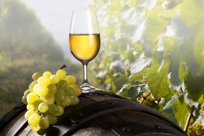 Maribor and Styria Tour with Wine Tasting 3