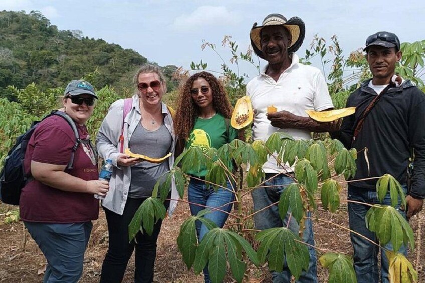 A group of people standing in a field with large green plants, possibly a tropical environment. 3