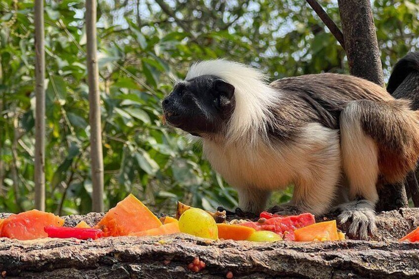 ATV Ride + Wildlife Conservation Near Cartagena | Private Tour 3