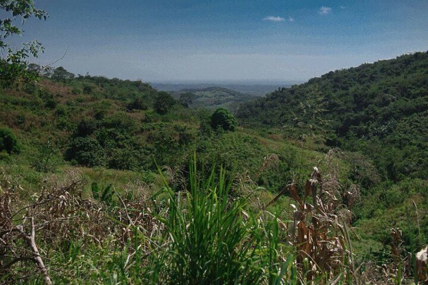 A lush green valley with rolling hills and a clear sky. 4