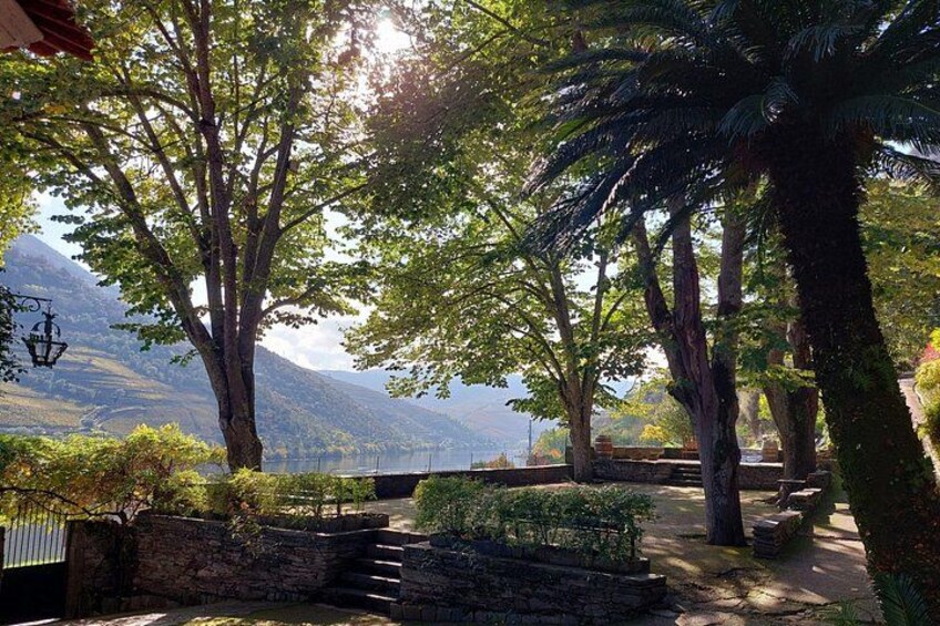 Garden 2