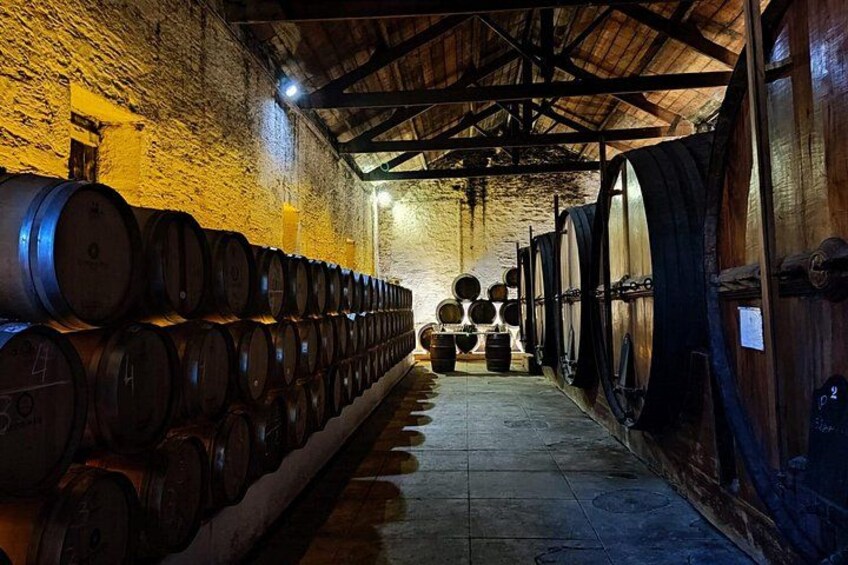 Wine Cellar 3
