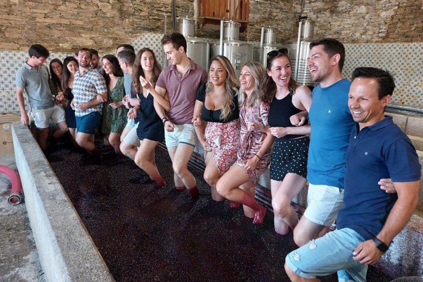 Traditional grape stomping 3