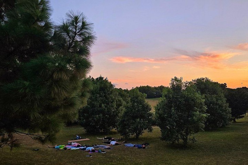 A grassy field with trees and a sunset in the background. 5