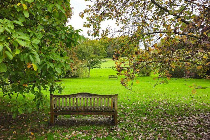 Un banc en bois dans un parc, avec de l’herbe verte et des arbres. 4