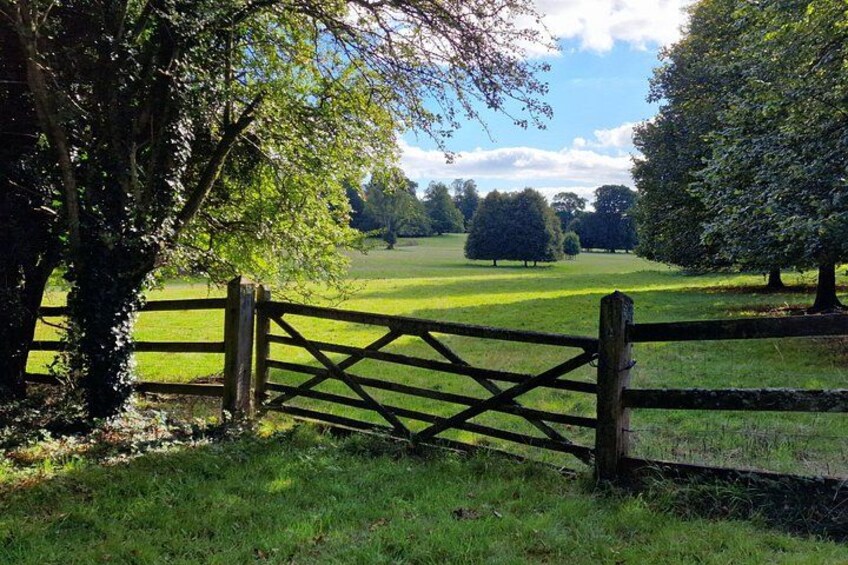 The park of Chawton House 2