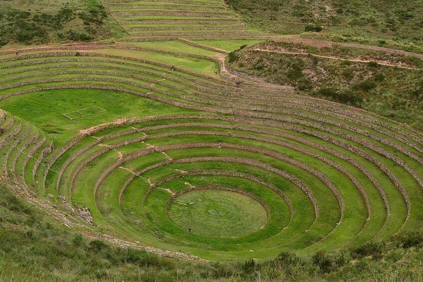moray 5