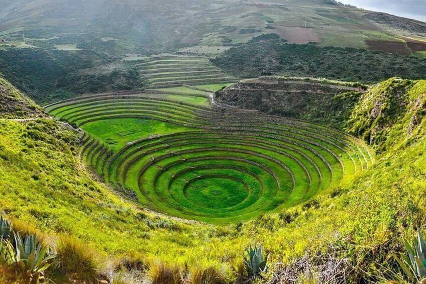 Moray 3