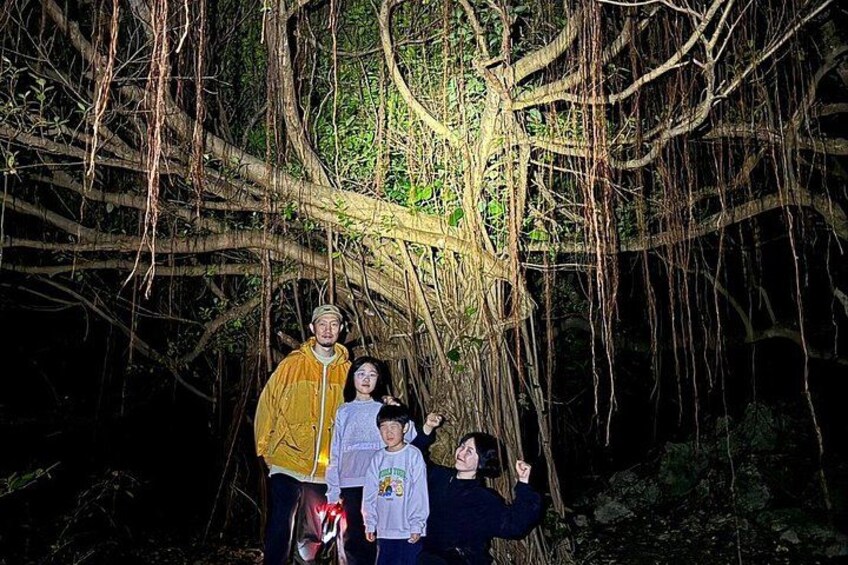 A group of people standing under a large tree with extensive roots. 2