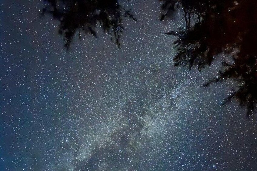 Okinawa Miyako Jungle&Starry Sky tour Free Pick up and Drop off 4