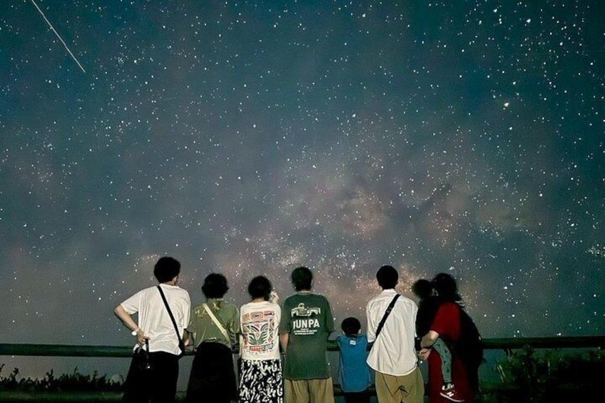 Okinawa Miyako Jungle&Starry Sky tour Free Pick up and Drop off 3