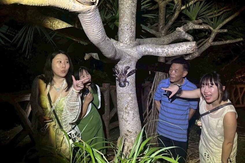 A group of people posing near a tree with a rope ladder. 4