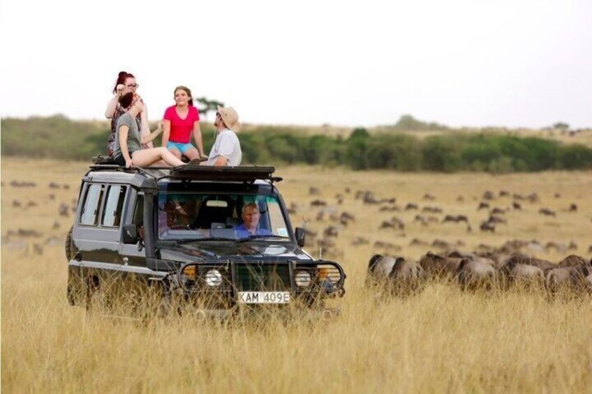 A safari vehicle with passengers on a grassy field with wildlife in the background. 4