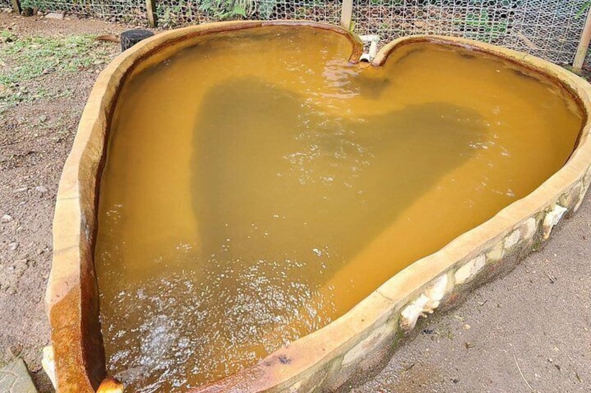 Una piscina con forma de corazón llena de agua turbia. 5