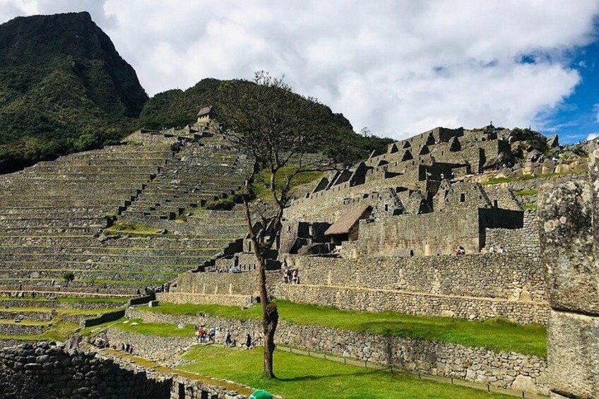 Ancient stone ruins with terraced steps and a tree in the foreground. 2