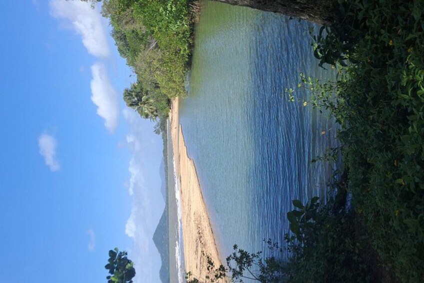 Plam Cove 3