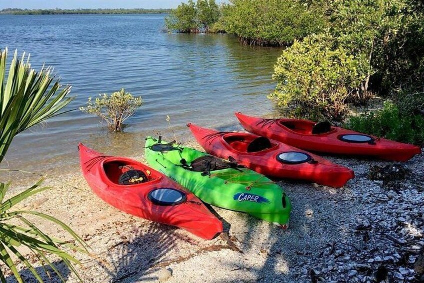 Three kayaks on a pebbly shore by a calm body of water with sparse vegetation. 1