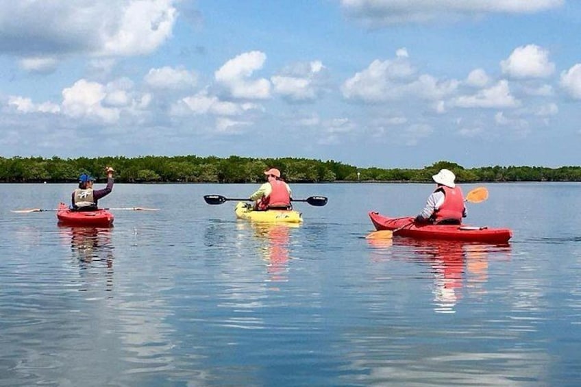 Three kayakers on a calm body of water with a forested shoreline in the background. 3